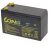 Akumulator SAGA 12V - 3A FRX