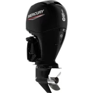 Mercury F150 XL EFI
