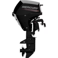 Mercury F15 EL EFI