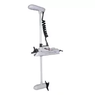 Haswing Cayman B80 GPS 24V Gen 1.6 183cm biały