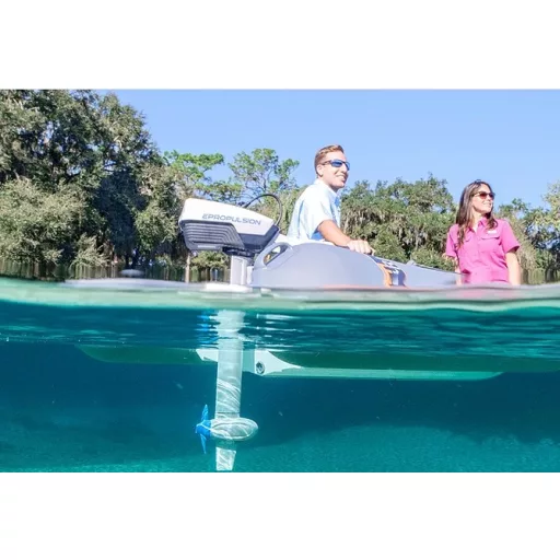Epropulsion Spirit 1.0 Plus long trib