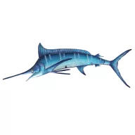 Kardhal 82cm VVL